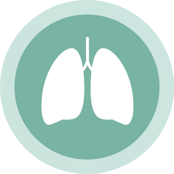 icon of lungs